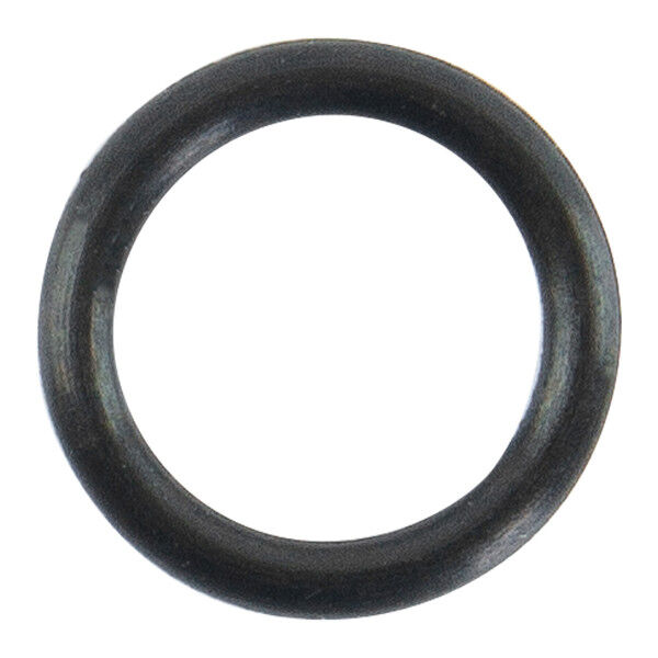 Nozzle O-Ring - Bild 1