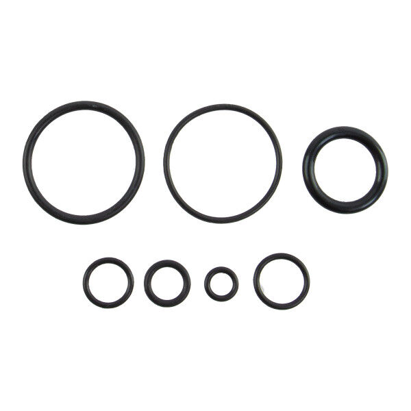 O-Ring Replacement Kit für BOLT Kits - Bild 1